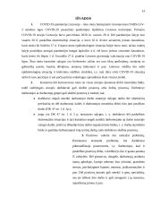 Prastovos dėl Covid-19 pagrindinės problemos 13 puslapis