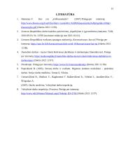 Prastovos dėl Covid-19 pagrindinės problemos 14 puslapis