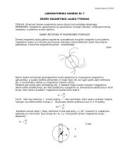 Žemės magnetinio lauko tyrimo ataskaita
