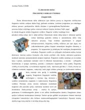 Žingsninio variklio tyrimas