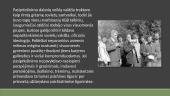 Disidentinis judėjimas Lietuvoje (skaidrės) 10 puslapis