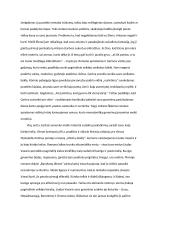 Ar meilė žmogaus gyvenimą daro prasmingu? (kalba su planu) 2 puslapis