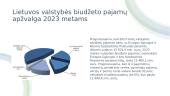 Lietuvos valstybės biudžeto pajamų struktūros tyrimas 12 puslapis