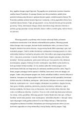 Gyvųjų ir mirusiųjų pasaulių vaizdavimas antikos literatūroje 2 puslapis