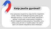 Magnetinio lauko poveikis gyviesiems organizmams 2 puslapis