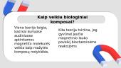 Magnetinio lauko poveikis gyviesiems organizmams 3 puslapis