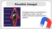 Magnetinio lauko poveikis gyviesiems organizmams 4 puslapis