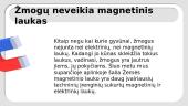 Magnetinio lauko poveikis gyviesiems organizmams 6 puslapis