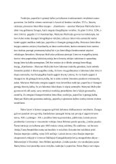 Apie kokias svarbias vertybes dažniausiai kalba literatūra? 2 puslapis