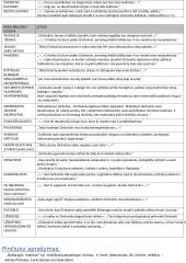 Girdvainio ir Jurgos apibūdinimas 2 puslapis