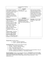 Kraujas - biologijos konspektas 2 puslapis