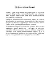 Odisėjo kelionės 2 puslapis