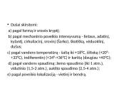 Hidromasažas (skaidrės) 12 puslapis