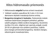 Hidromasažas (skaidrės) 16 puslapis