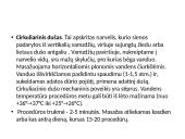 Hidromasažas (skaidrės) 18 puslapis