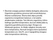 Hidromasažas (skaidrės) 2 puslapis