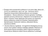 Hidromasažas (skaidrės) 3 puslapis