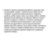 Hidromasažas (skaidrės) 4 puslapis