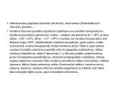 Hidromasažas (skaidrės) 5 puslapis