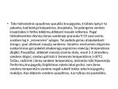 Hidromasažas (skaidrės) 7 puslapis