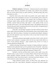 Osteosarkomos klinikiniai simptomai ir paciento slauga 2 puslapis