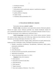 Osteosarkomos klinikiniai simptomai ir paciento slauga 5 puslapis