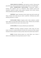 Osteosarkomos klinikiniai simptomai ir paciento slauga 9 puslapis