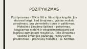 Romantizmas. Vincas Kudirka 2 puslapis