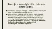 Romantizmas. Vincas Kudirka 9 puslapis