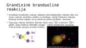 Branduolinė energija 10 puslapis