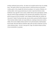 Autobiografiškumas Maironio kūryboje 2 puslapis