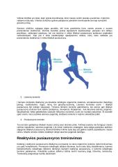 Griuvimų rizikos veiksniai 3 puslapis