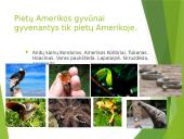 Pietų Amerika - skaidrės 7 puslapis