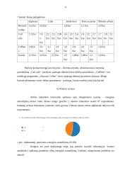 UAB „Gulinė“ verslo planas 11 puslapis