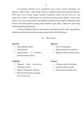 UAB „Gulinė“ verslo planas 13 puslapis