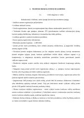 UAB „Gulinė“ verslo planas 8 puslapis