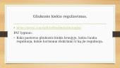 Gliukozės kiekio reguliavimas. Šlapimo šalinimas 3 puslapis