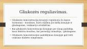 Gliukozės kiekio reguliavimas. Šlapimo šalinimas 7 puslapis
