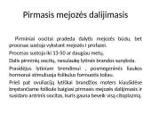 Gametogenezė 12 puslapis
