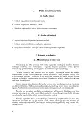 Vandens mineralizavimas 3 puslapis