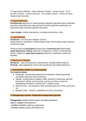 Patologinės fiziologijos konspektas 2 puslapis