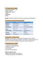 Patologinės fiziologijos konspektas 11 puslapis