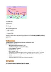 Patologinės fiziologijos konspektas 19 puslapis