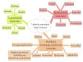 Lietuvių liaudies dainų meninės ypatybės  6 puslapis