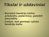 Bendrijos ir jų kaita 2 puslapis