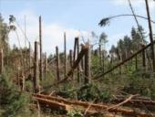 Bendrijos ir jų kaita 11 puslapis