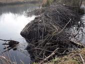 Bendrijos ir jų kaita 14 puslapis