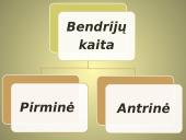 Bendrijos ir jų kaita 15 puslapis