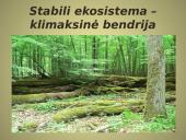 Bendrijos ir jų kaita 18 puslapis