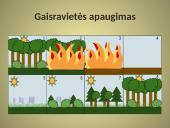 Bendrijos ir jų kaita 20 puslapis